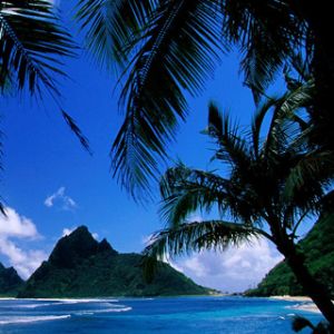 Playa del Paraíso Tropical