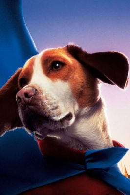 Beagle Adorable con Capa Azul