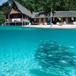 Paraíso Tropical con Peces