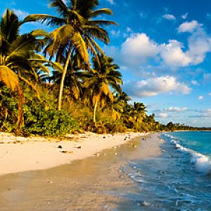 Paraíso de Playa Tropical