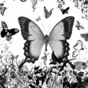 Arte de Mariposa en Blanco y Negro