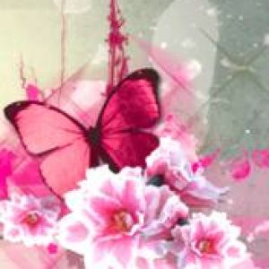 Mariposa y Flores