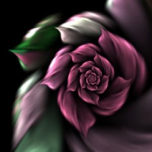 Diseño Abstracto de Rosa
