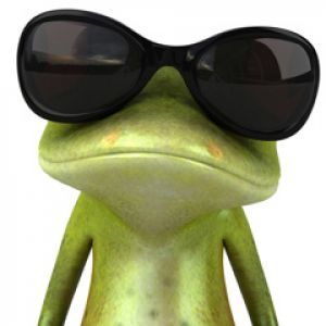 Rana Cool con Gafas de Sol