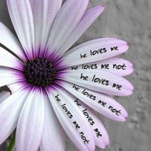 Flor de Amor con Pétalos