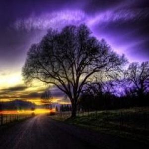 Atardecer vibrante con árbol