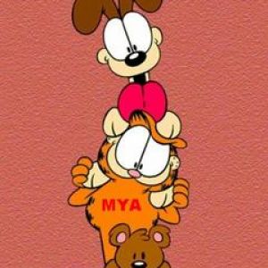 Garfield y amigos