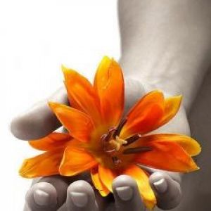 Flor Naranja en Mano