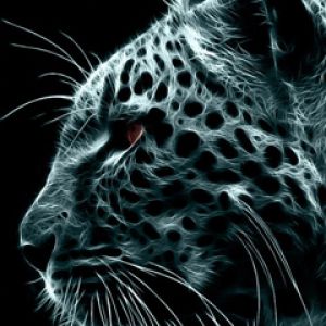 Arte de Leopardo Brillante
