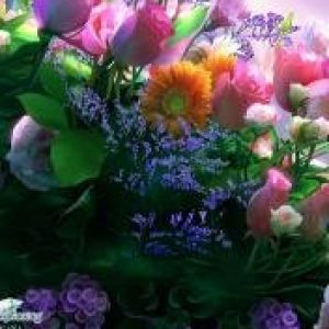 Ramo de Flores Vibrantes