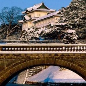 Castillo Japonés Nevado