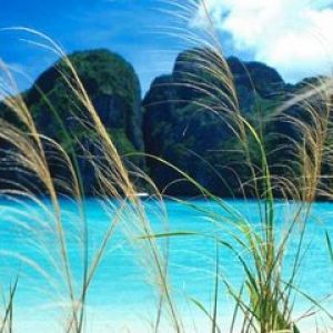 Paraíso de Playa Tropical
