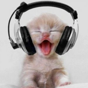 Gatito Lindos con Auriculares