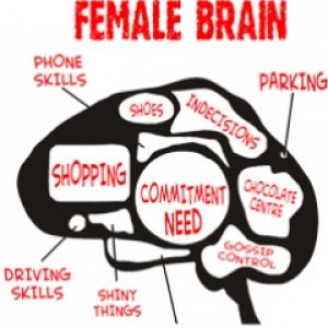 Humor del Cerebro Femenino