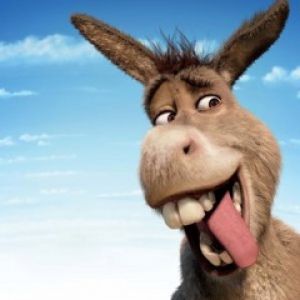 Burro de Caricatura Divertido