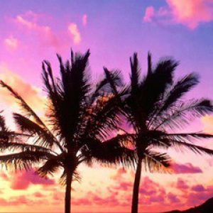 Atardecer tropical con palmeras