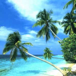 Paraíso de Playa Tropical