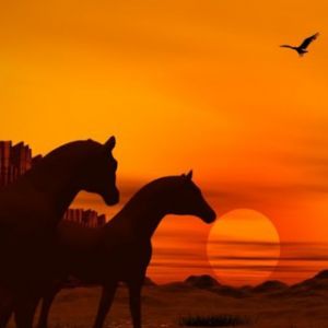 Caballos al Atardecer