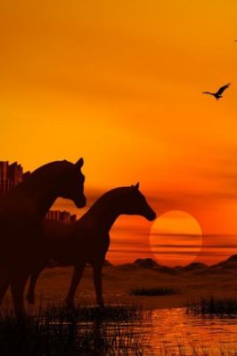 Caballos al Atardecer