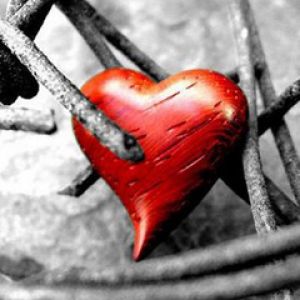 Corazón Rojo en Espinas