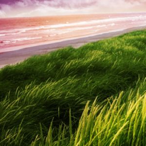 Paisaje de Playa Sereno