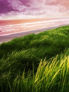 Paisaje de Playa Sereno