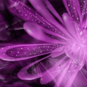 Diseño Abstracto de Flor Púrpura