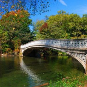 Hermoso Puente Sobre el Agua