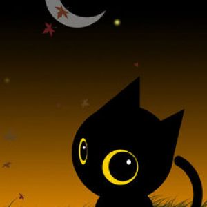 Gato Negro Bonito de Noche