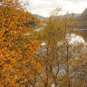 Paisaje Fluvial de Otoño
