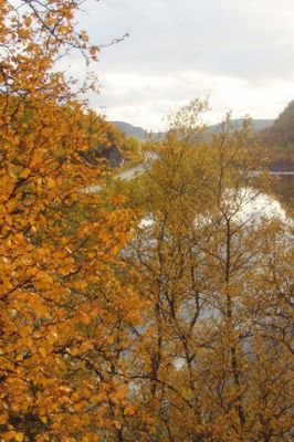 Paisaje Fluvial de Otoño