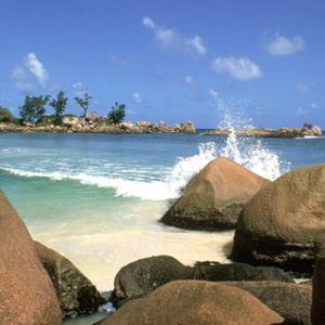 Olas de Playa Tropical