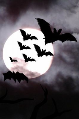 Murciélagos Volando Contra la Luna Llena