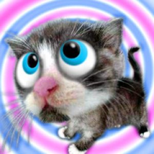 Gato de Caricatura Adorable