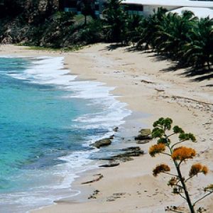 Paraíso de Playa Tropical
