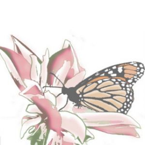 Mariposa en Flor Rosa