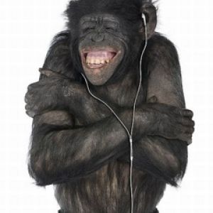Mono Sonriente con Auriculares