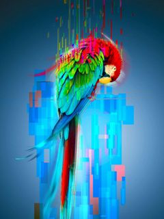 Arte de Loro Colorido