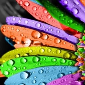 Flor Colorida con Gotas de Agua
