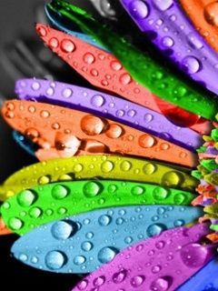 Flor Colorida con Gotas de Agua
