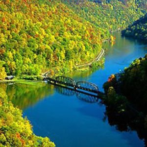 Río Escénico y Bosque de Otoño