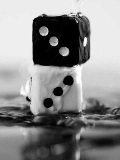 Dados Negros y Blancos