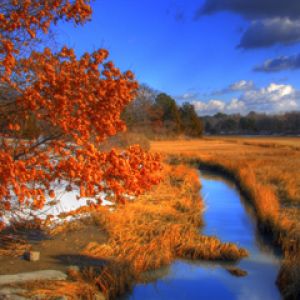 Paisaje de Otoño con Río