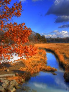 Paisaje de Otoño con Río