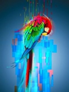 Arte Digital de Loro Colorido
