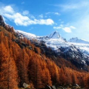 Paisaje montañoso de otoño