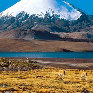Paisaje de Montaña Cubierta de Nieve