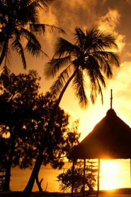 Atardecer Tropical con Palmeras