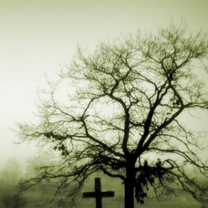 Árbol y Cruz en la Niebla