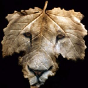 Arte de hoja de león